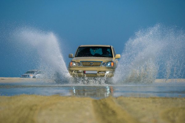 Top 5 des plus grands champions de stunt moto